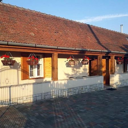 Ferienwohnung Hegyalja Vendeghaz Tolcsva Exterior foto